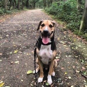 Fundraising Page: Kate Olerio